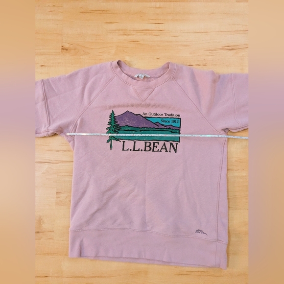 Medium L.L. Bean Vintage Pink Graphic Sweatshirt - Picture 10 of 12